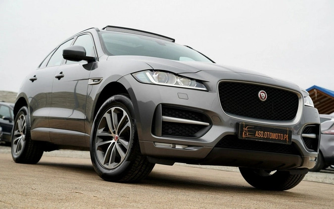 Jaguar F-Pace cena 104700 przebieg: 120157, rok produkcji 2019 z Otmuchów małe 781